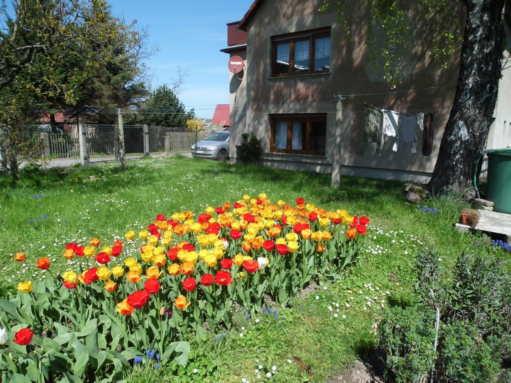 Ferienwohnung Wawrok Pirna Exteriör bild